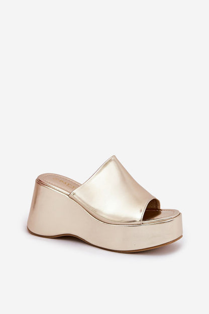  slippers model 211013 Step in style 